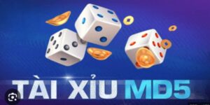 MD5 Tài Xỉu - Hướng Dẫn Tân Binh Cách Chơi Từ A Đến Z 